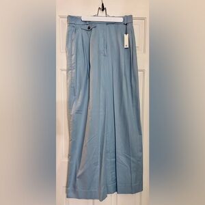 Banana Republic Carmel Pleated Wide Leg Pant Sea Glass Blue 10